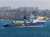 По данным журналиста С. Высоцкого, корабль проекта 23120 был поражен украинским &laquo;Нептуном&raquo; у Змеиного. Судно перевозило на остров подкрепление, ЗРК. Главред BlackSeaNews А.Клименко уточняет, что укр силы атаковали &laquo;Всеволод Бобров&r