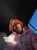 Wholelottared
