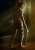 Shah Rukh Khan&rsquo;s mega blockbuster #Pathaan premiering on Amazon Prime, March 22nd.