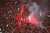 2- @WACofficiel have conceded two goals in the 6 African finals they hosted.Stronghold. #CAFCLfinal