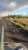 it reported that #UAarmy entered Korovii Iar, waiting for confirmation   #Donbass #donbas #luhansk #lyman #лиман #Донбас