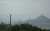 A Buzzard perched in front of Glastonbuty Tor. Taken yesterday on a walk in the fields near my house. #bird #birdphotography #TwitterNaturePhotography #birdwatching #birding #BirdsOfTwitter #glastonburyTor #BirdTwitter #TwitterBird