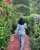 ????Secret gardens ????