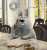 Отправлена в отставку директор Третьяковской галереи Зельфира Трегулова  Этому предшествовали требования Минкульта проверить экспозицию Третьяковки на соответствие &laquo;традиционным ценностям&raquo;.  Руководить Третьяковкой теперь будет дочь бывше