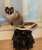 Good evening!!  #子供の日  #ラグドール  #cat  #catlover  #猫好きさんと繫がりたい  #猫　#ねこ #猫のいる生活  #猫がいる幸せ