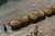 CCP &times;FAMILY #天安門事件 #中国 #SPY&times;FAMILY #間諜家家酒 #安妮亞