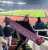 Photo shared by ᴍᴀʟᴀᴋᴀɪ \u265b مالاكاي on February 08, 2023 tagging @realmadrid, and @fifaworldcup.