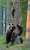 Good morning Twitter-Friends&hellip; Have a happy Monday and a beautiful new week  #MondayMorning  #CoffeeTime  #HappyNewWeek  #SummerVibes  #AnimalLovers  #PeaceAndLove