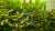 おはよう！(・&omega;・)ゞ #おはよう20230516  #気象庁 発表 #大阪府 の #天気予報 【天気】晴れ 【降水確率】- ％/ 0 ％/ 0 ％/ 0 ％ 【日中気温】26℃  #GoogleTrends #急上昇ワード 1位 #トルコ大統領選挙  だぞ、と^^)b