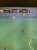 7awelt nl3eb fifa