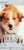 明日の #金曜ロードショー は #僕のワンダフルジャーニー  #僕のワンダフルライフ に続き 映画館で涙腺崩壊しました 個人的にモコの四十九日の日に嬉しいですペット飼いさんには,ほんま,たまらない映画だと思います^^。#金ロー