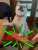 大阪ツイにも退勤の時間が訪れました 本日は名阪ツイ担共にバタバタしており、日中投稿出来ませんでした  明日から最強寒波が来るみたいですので、皆様くれぐれもお気をつけください それでは本日もお疲れ様でした #企業公式がお疲れ様を言い合う  #最強寒波 #不要不急の外出