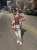 wholelottared