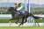 パン君がどっちに出るか分からないけど、3月25日がやばすぎるwww  日経賞 タイトルホルダーVSアスクビクターモア  ドバイSC シャフリヤールVSイクイノックスVSウインマリリン  ドバイターフ ドウデュースVSセリフォス(VSパンサラッサ)  ドバイWC テーオーケインズVSウシュバテソーロ(VSパンサラッサ)
