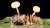 Microbe Monsters  Ophiocordyceps unilateralis turns ants into zombies. Its fungal threads form a network in and around the ant's muscles, bewitching the ant to climb to a high place and wait for death. The ant&rsquo;s head bursts open, and a fruiting