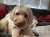 So fresh!  So loved!  #MyGirl #DoodlesOfTwitter #May