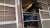 アルゼンチン共和国杯に出走するアフリカンゴールドです！  目を見開いてこっちを見てる感じ好きです笑 さすがステイゴールド産駒！笑 表情豊かで行動もかわいいですね
