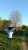 In Russia, they said that on May 6 they destroyed everything  СУ-27) Today our birds are flying to prove that this is not so)))#Ukraine