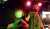 Терорист та один з засновників ПВК 'Єнот' ігорь мангушев відправлений до пекла , повідомляють російські телеграм-канали.