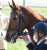 ピンハイの時間かな？？