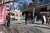 日本共産党が新宿駅東南口で 「ジェンダー平等社会の実現へ」 って街頭演説してた。 夜はウィメンズマーチ東京2023あるね。 #ミモザの日 #国際女性デー2023