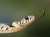 Смолянам рассказали, какая погода будет в Змеиный праздник   В понедельник, 12 июня, ожидается малооблачная погода