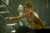 Milla Jovovich wanted Monster Hunter viewers to feel “like they were playing the game for the first time”