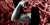 The far right&rsquo;s obsession with fitness is going digital