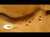 Desert Futures | Museum of the Future and Emirates