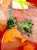 明けましておめでとうございます。 お雑煮の中にイルカさんがいましたよ 今年も宜しくお願いします。 #新年のご挨拶