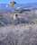バードパフォーマンスBROAD 全天候型回廊の上をルリコンゴウインコが飛び交う姿は絵になります。 回廊はGW前には全て完成予定です。さらに安全に快適に#バードパフォーマンスBROAD #那須どうぶつ王国