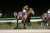 #マイルチャンピオンシップ南部杯 1着はカフェファラオ。本日盛岡競馬場で行われたRoad to JBCの第35回マイルチャンピオンシップ南部杯(JpnI)は、福永祐一騎手(JRA)騎乗で1番人気のカフェファラオ(牡5･JRA･堀宣行厩舎)が制しました。ハナ差の2着にヘリオス、3着はシャマル。