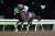 #勝島王冠 1着はライトウォーリア。本日大井競馬場で行われた第14回勝島王冠は、矢野貴之騎手(大井)騎乗で8番人気のライトウォーリア(牡5･川崎･内田勝義厩舎)が制しました。同馬は埼玉新聞栄冠賞に続き重賞連勝。2馬身差の2着にリンゾウチャネル、3着はカジノフォンテンが入りました。