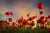 We Will Remember Them   #ArmisticeDay #RemembranceDay #LestWeForget