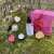Are you looking for a Mother's Day gift that will be truly appreciated? Try our amazing lip care kit.  #lipcarekit #lipbalm #mothersday #snow #amberalert #giftideas #ecogifts  #mothersdaygift #lips #lipcare