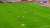 هدف فينسينت أبوبكر
