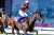 'ダートの祭典' JBC 各路線の頂点に立った砂の勇者達 #JBCレディスクラシック #ヴァレーデラルナ #JBCスプリント #ダンシングプリンス #JBCクラシック #テーオーケインズ 撮影：高橋正和 #JBC2歳優駿 #ゴライコウ 撮影：田中哲実