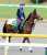 【#ジャパンカップ】 2年連続参戦の#グランドグローリー が思い出たっぷりに馬場入り、陣営「前回来たことを覚えていたようで&hellip;」