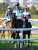 【#京都2歳ステークス】 6着 #グランヴィノス 川田将雅騎手 「競馬自体はスムーズに回って来れましたが、血統的にまだ時間が必要なんだろうと思います。ゆっくり待ちたいと思います」