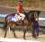 【#香港スプリント】 池添謙一騎手が落馬負傷のため、メイケイエールの鞍上はオーストラリアやニュージーランドで活躍するJ.マクドナルド騎手に。 #メイケイエール #池添謙一