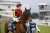 浪漫を求めて、日本馬たちの飽くなき挑戦を称え #ジオグリフ #ジャックドール #レイパパレ #香港カップ 撮影：高橋正和
