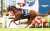 【#香港ヴァーズ】 #ウインマリリン 手塚師 「(レーン)騎手はまさに神騎乗でした。素晴らしいなと思う。レースも前でと作戦を練っていたが、結果的に後ろからすごい脚を使ってくれた」  「G1を勝てる馬だとずっと思っていたので勝てて良かったです」※抜粋