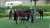 香港カップのレース後、お水を飲むレイパパレ。0:1141.3K viewsQuote Tweet