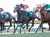 【#中山金杯 レース後コメント】 ラーグルフ戸崎圭太騎手、クリノプレミアムM.デムーロ騎手ら   ラーグルフ 宗像師 「さすが戸崎騎手ですね。今は落ち着いてきているのがなによりです。集中して、鞍上の言うことを聞けるようになっているのではないでしょうか」※抜粋
