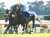 【#シンザン記念】 1986年以降、前走から連勝を果たした牝馬 2012年 ジェンティルドンナ 2018年 アーモンドアイ 2023年 ライトクオンタム&larr;new!
