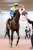 【#日経新春杯】 10番人気キングオブドラゴンが首差2着に激走、坂井瑠星騎手「つかみどころのないおもしろい馬」#キングオブドラゴン