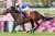 【#阪神牝馬ステークス】 #サウンドビバーチェ 浜中俊騎手 「[前略] 手応え通りしっかりと伸びてくれましたし、先頭に立ってから最後までいい走りだったと思います。力があることを証明できたので、次のG1でもいい走りをしてくれるんじゃないかな」