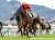 【中山9R・黒松賞(2歳1勝)】 直線短い中山ですが強烈な末脚炸裂。菅原明良騎手騎乗ブーケファロスが差し切りV。  父ビッグアーサー。レアな母の父ダンディコマンドは本馬がJRA初勝利でしたが、これで特別戦も初制覇。