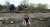 'Ukrposhta' announced the issue of stamps with the famous dog Patron, which helps rescuers in demining.