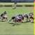 John Madden knew how to deliver a good &ldquo;Boom&rdquo;.  #MaddenThanksgiving